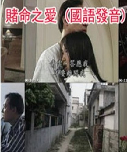 賭命之愛
